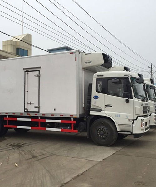 上海至南昌冷鏈物流專線 專業(yè)冷藏運(yùn)輸公司的服務(wù)解析與選擇指南